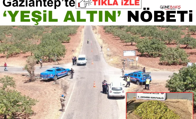 Gaziantep’te ‘Yeşil Altın’ nöbeti