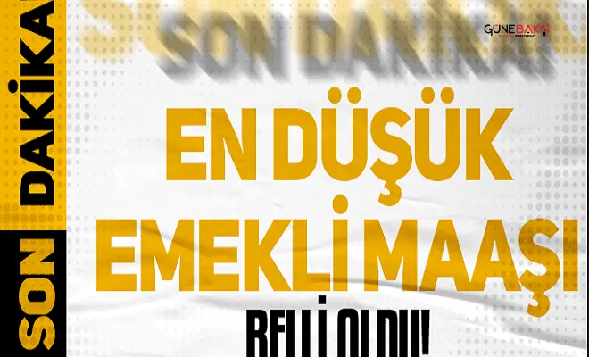 En düşük emekli maaşı belli oldu! Abdullah Güler açıkladı