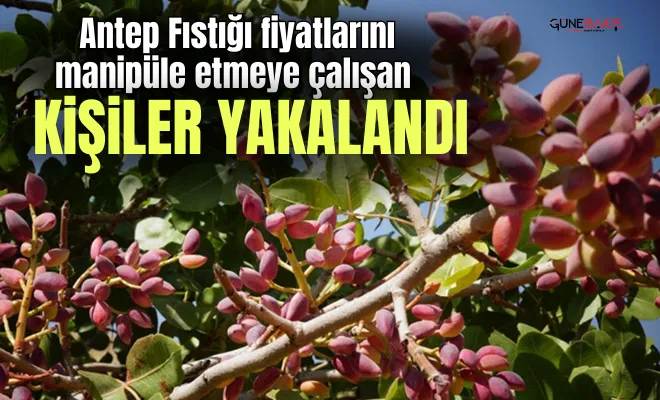 Antep Fıstığı fiyatlarını manipüle etmeye çalışan kişiler yakalandı
