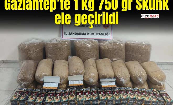 Gaziantep’te 1 kg 750 gr Skunk ele geçirildi