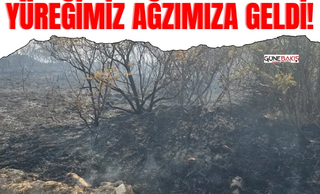 Yüreğimiz ağzımıza geldi!