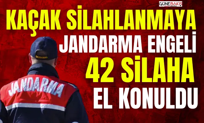 Kaçak silahlanmaya jandarma engeli; 42 Silaha el konuldu