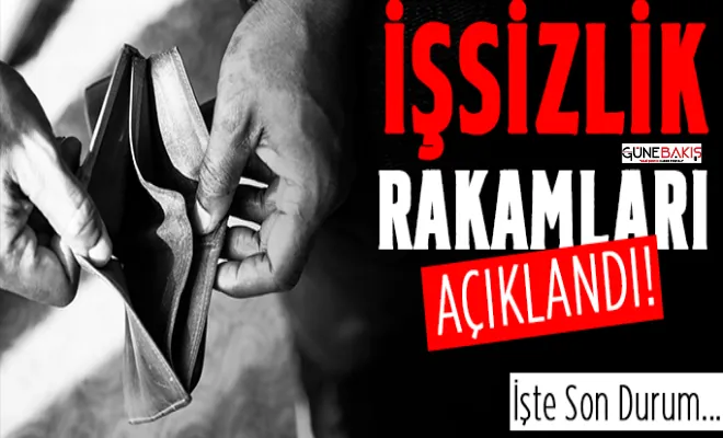 TÜİK işsizlik rakamlarını açıkladı 