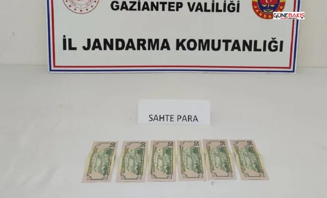 Nurdağı’nda kalpazanlık yapan şahıs suçüstü yakalandı