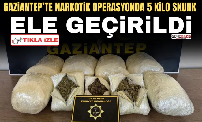 Gaziantep’te narkotik operasyonda 5 kilo skunk ele geçirildi