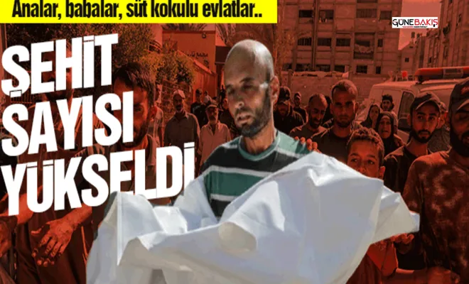 Analar, babalar, evlatlar... Şehit sayısı katlanarak artıyor!