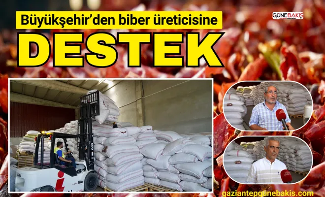 Büyükşehir’den biber üreticisine destek
