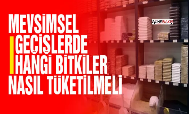 Mevsimsel geçişlerde hangi bitkiler nasıl tüketilmeli
