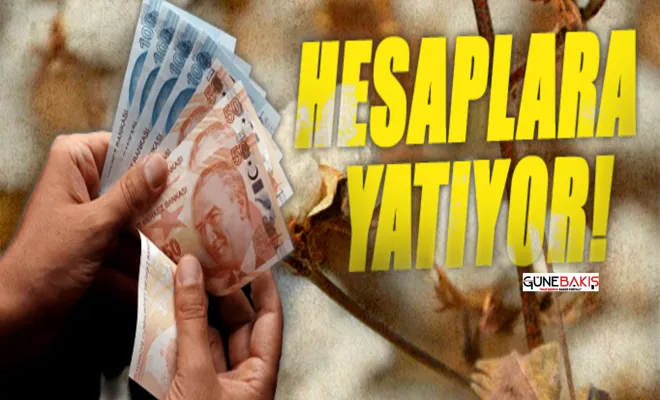 Çiftçilere tarımsal destekleme ödemesi yapıldı