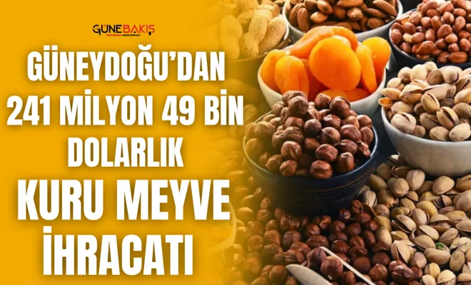 Güneydoğu’dan 241 milyon 49 bin dolarlık kuru meyve ihracatı 