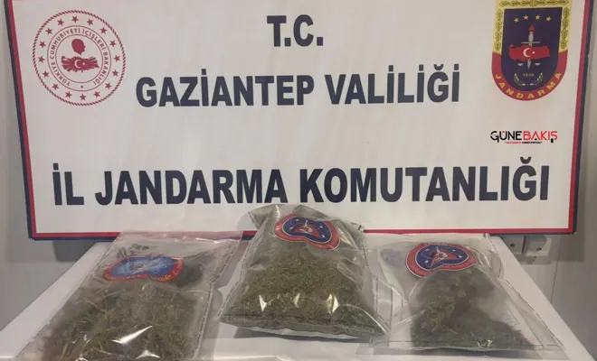Zehir taciri 1150 gr esrar ile yakalandı 