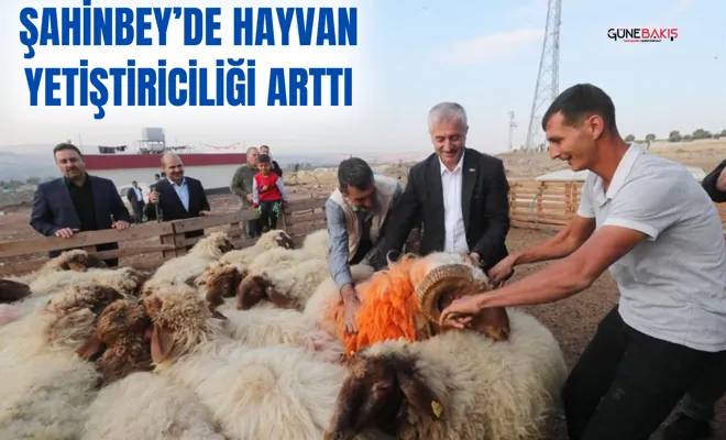 Şahinbey’de hayvan yetiştiriciliği arttı