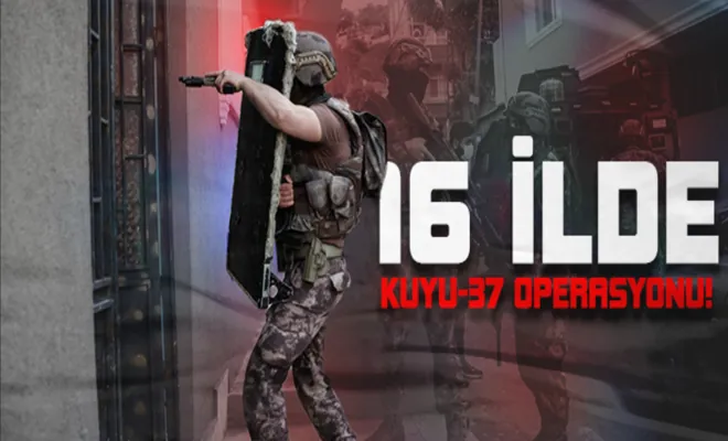 Suç örgütüne operasyon: 270 şüpheli yakalandı!