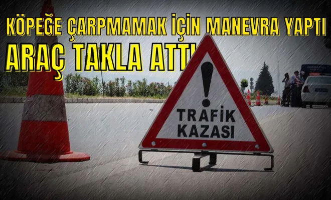 Köpeğe çarpmamak için manevra yaptı, araç takla attı