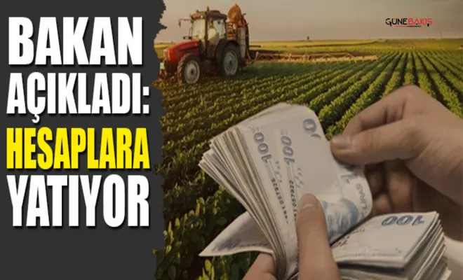 Bakanlık duyurdu: Ödemeler hesaplara yatırıldı