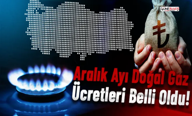 BOTAŞ'tan doğal gaz fiyatı açıklaması!