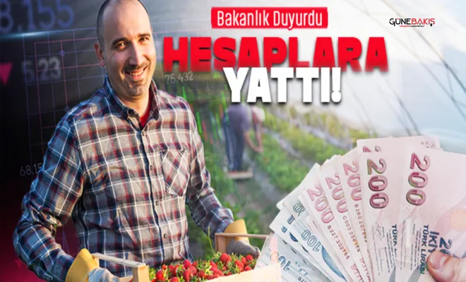 Çiftçilere destek ödemeleri hesaplara yattı