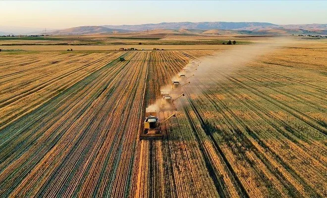 Çiftçilere ödeme! Bugün hesaplara yatıyor