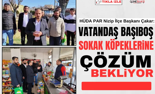 HÜDA PAR Nizip İlçe Başkanı Çakar: Vatandaş başıboş sokak köpeklerine çözüm bekliyor