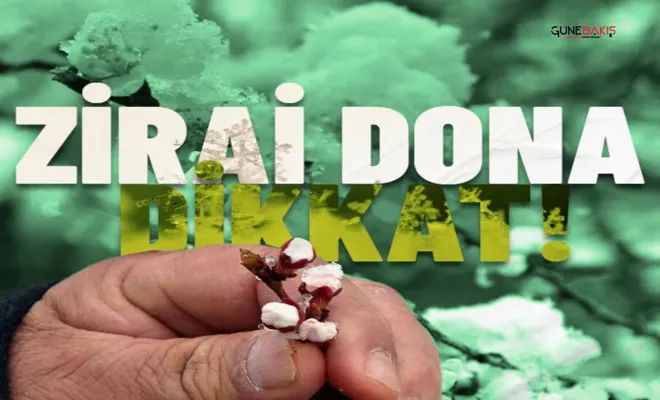Aman dikkat: Zirai don için uyarı geldi!