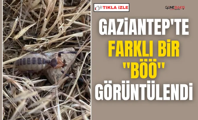 Gaziantep'te farklı bir "BÖÖ" görüntülendi