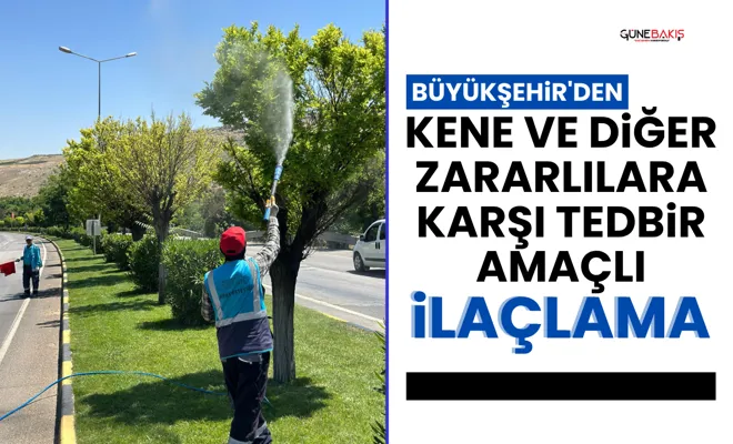 Büyükşehir'den kene ve diğer zararlılara karşı tedbir amaçlı ilaçlama