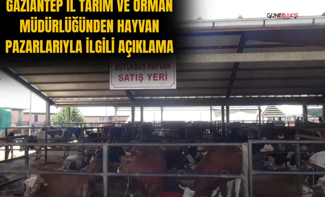 Gaziantep il tarım ve orman müdürlüğünden hayvan pazarlarıyla ilgili açıklama