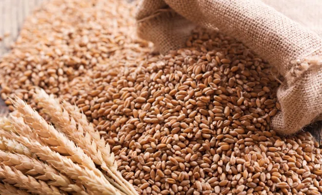 Güneydoğu’nun yılın ilk yarısında hububat ihracatı 1,8 milyar dolar