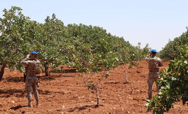 Gaziantep’te fıstık bahçelerine jandarma güvencesi
