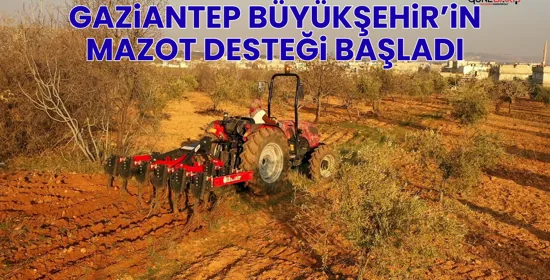 Halep’in yeniden inşasında Türk firmaların imzası olacak