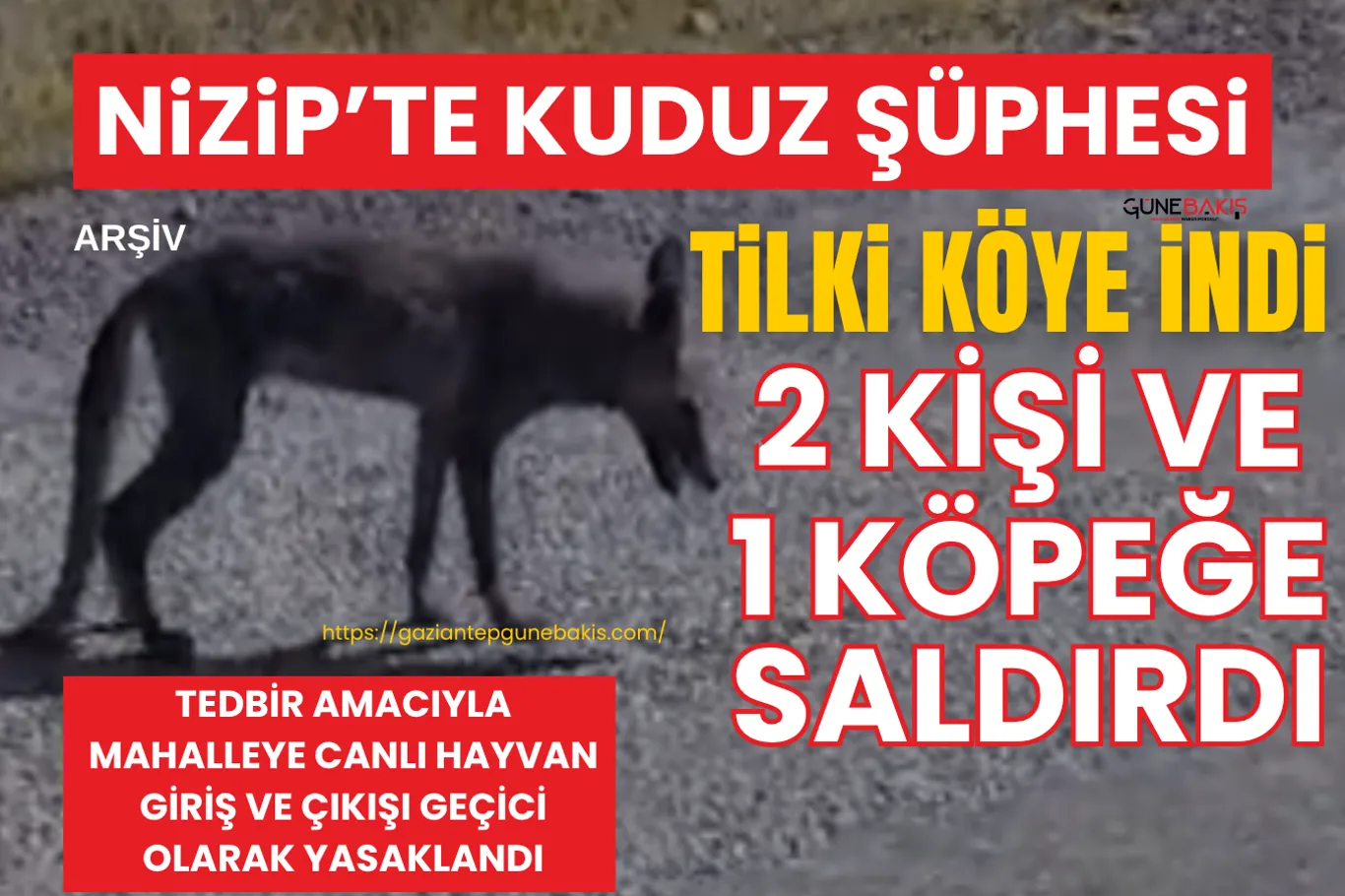 Yüzyılın Konut Projesi başvuruları başlıyor!