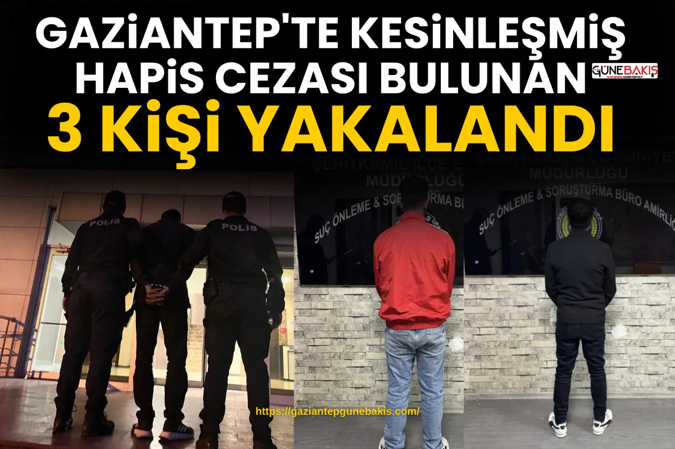 Nizip’te zeytin festivali: Hasatla başlayan bereket yolculuğu