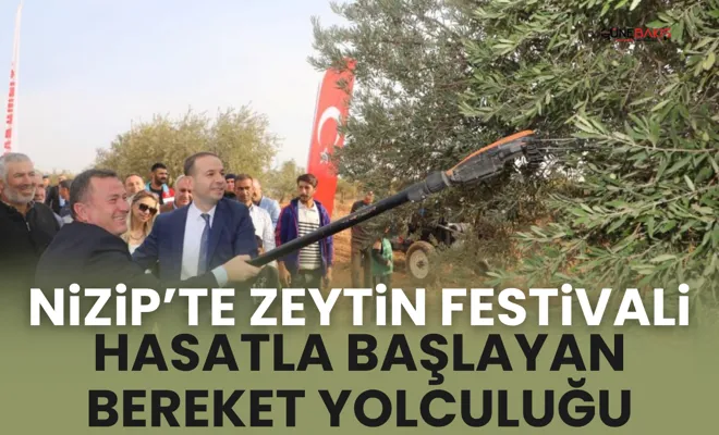 Nizip’te zeytin festivali: Hasatla başlayan bereket yolculuğu