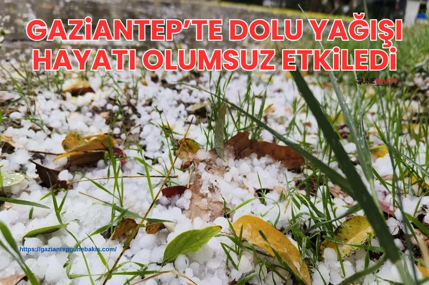 Gaziantep’te pompalı tüfekli görüntüler üzerine 3 kişi yakalandı