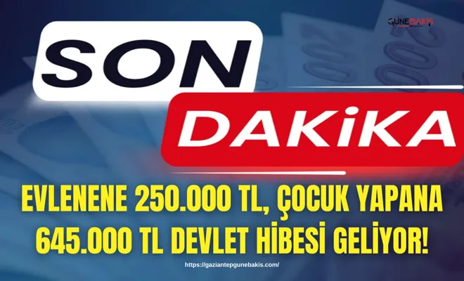 Evlenene 250.000 TL, çocuk yapana 645.000 TL devlet hibesi geliyor!