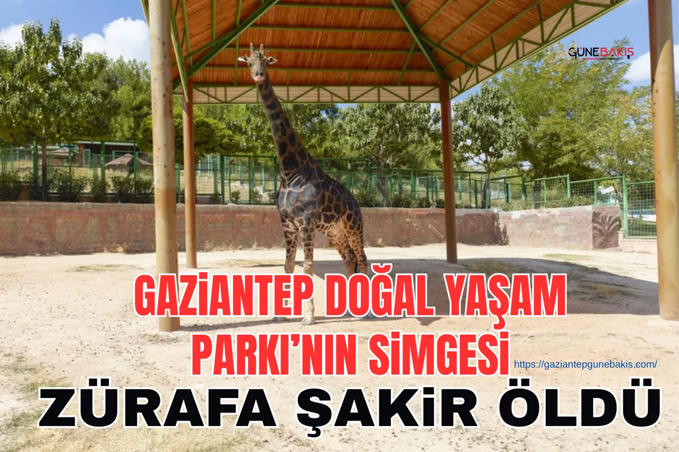 Gaziantep’te işyerlerine silahlı saldırı: 5 gözaltı