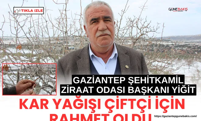 Gaziantep Şehitkamil Ziraat Odası Başkanı Yiğit: Kar yağışı çiftçi için rahmet oldu