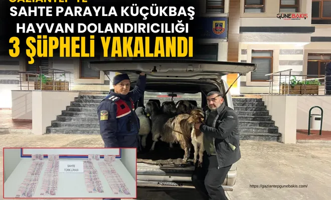 Sahte parayla küçükbaş hayvan dolandırıcılığı: 3 şüpheli yakalandı