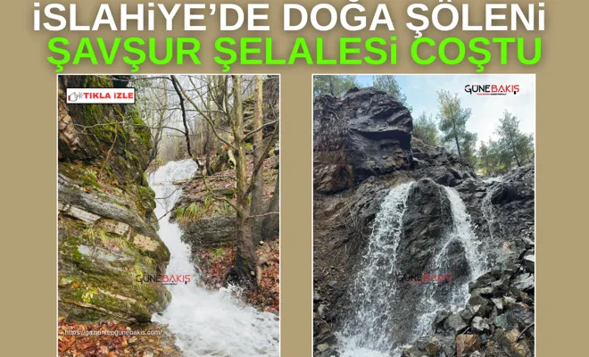 İslahiye’de doğa şöleni: Şavşur Şelalesi coştu