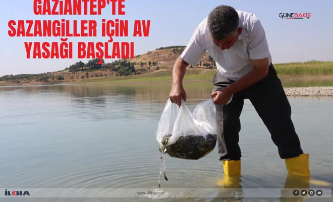 Gaziantep'te sazangiller için av yasağı başladı