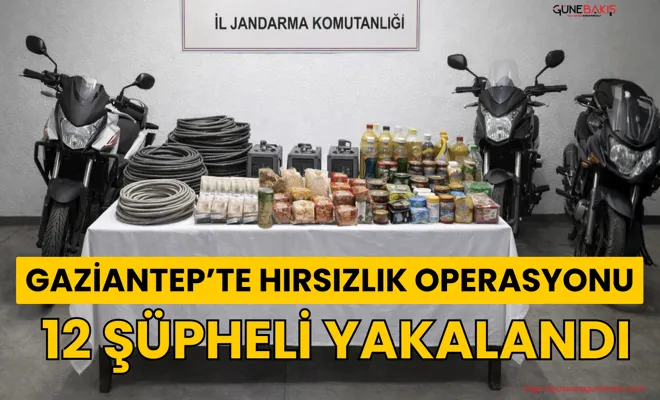 Gaziantep’te hırsızlık operasyonu: 12 şüpheli yakalandı