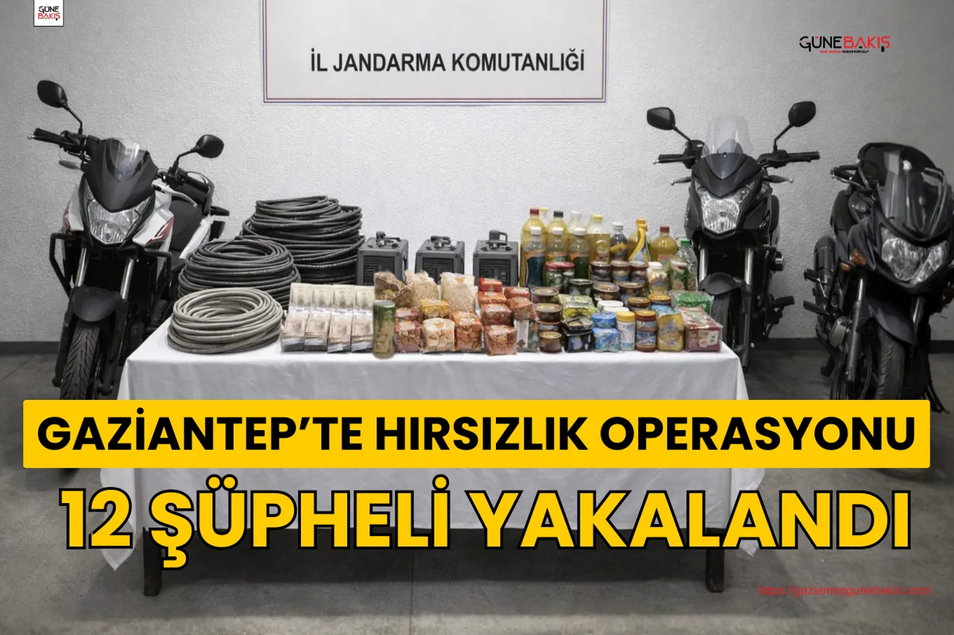 Gaziantep'te 179 tarihi sikke ele geçirildi: 1 gözaltı