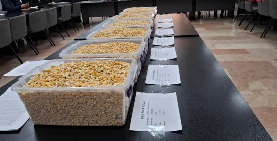 Benzin ve motorine indirim geliyor