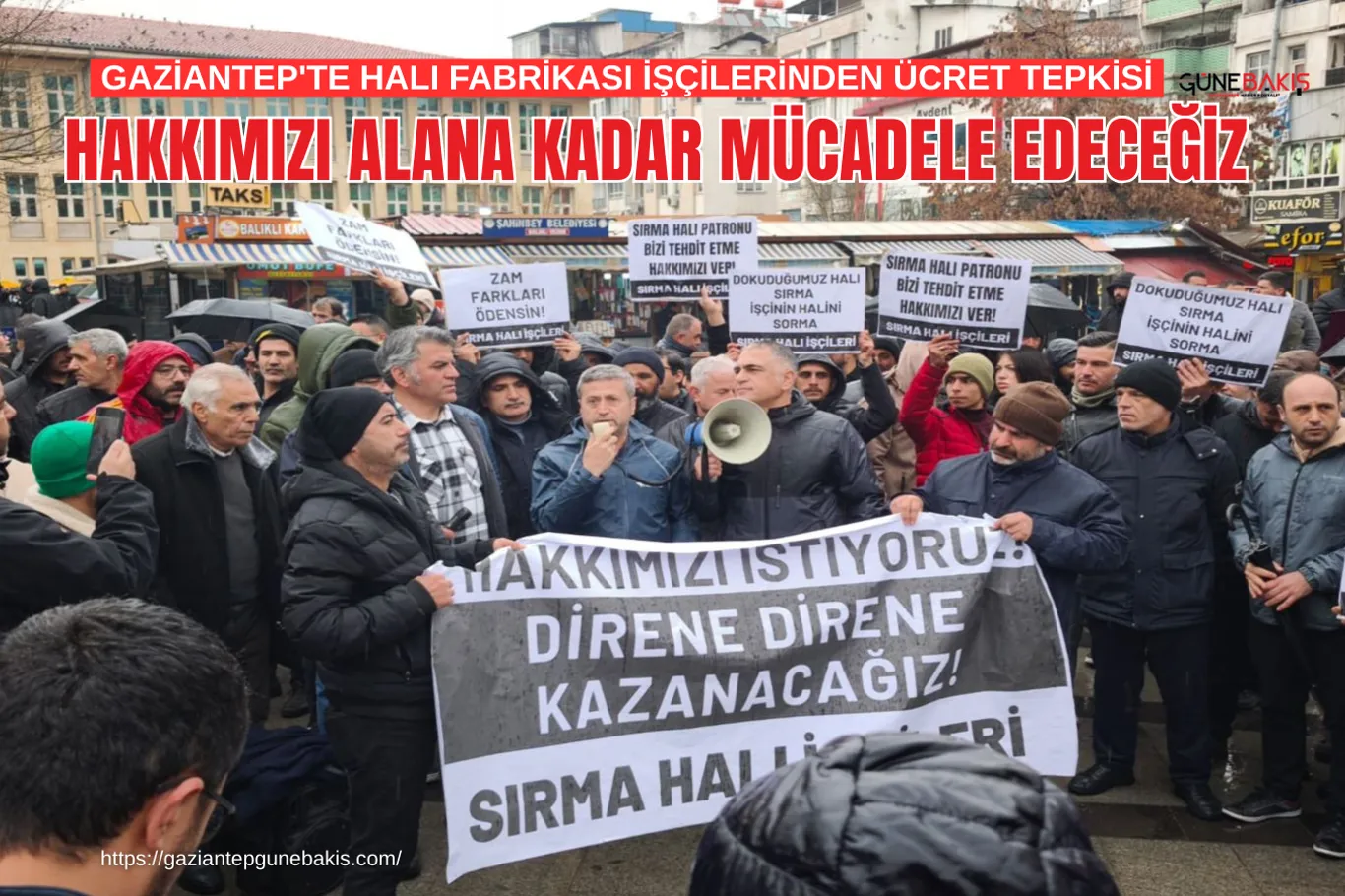 Takkeli Cılıbıt Kuşu Türkiye'de ilk kez Gaziantep'te görüntülendi