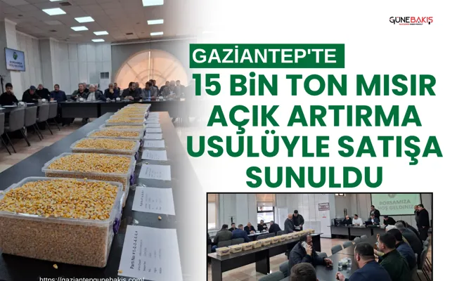 Gaziantep'te 15 bin ton mısır açık artırma usulüyle satışa sunuldu