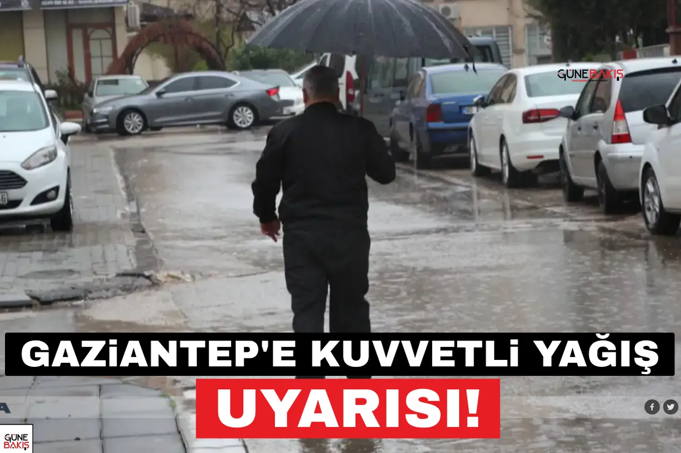 Gaziantep'te 8 bin tondan fazla buğday ihale usulüyle satıldı