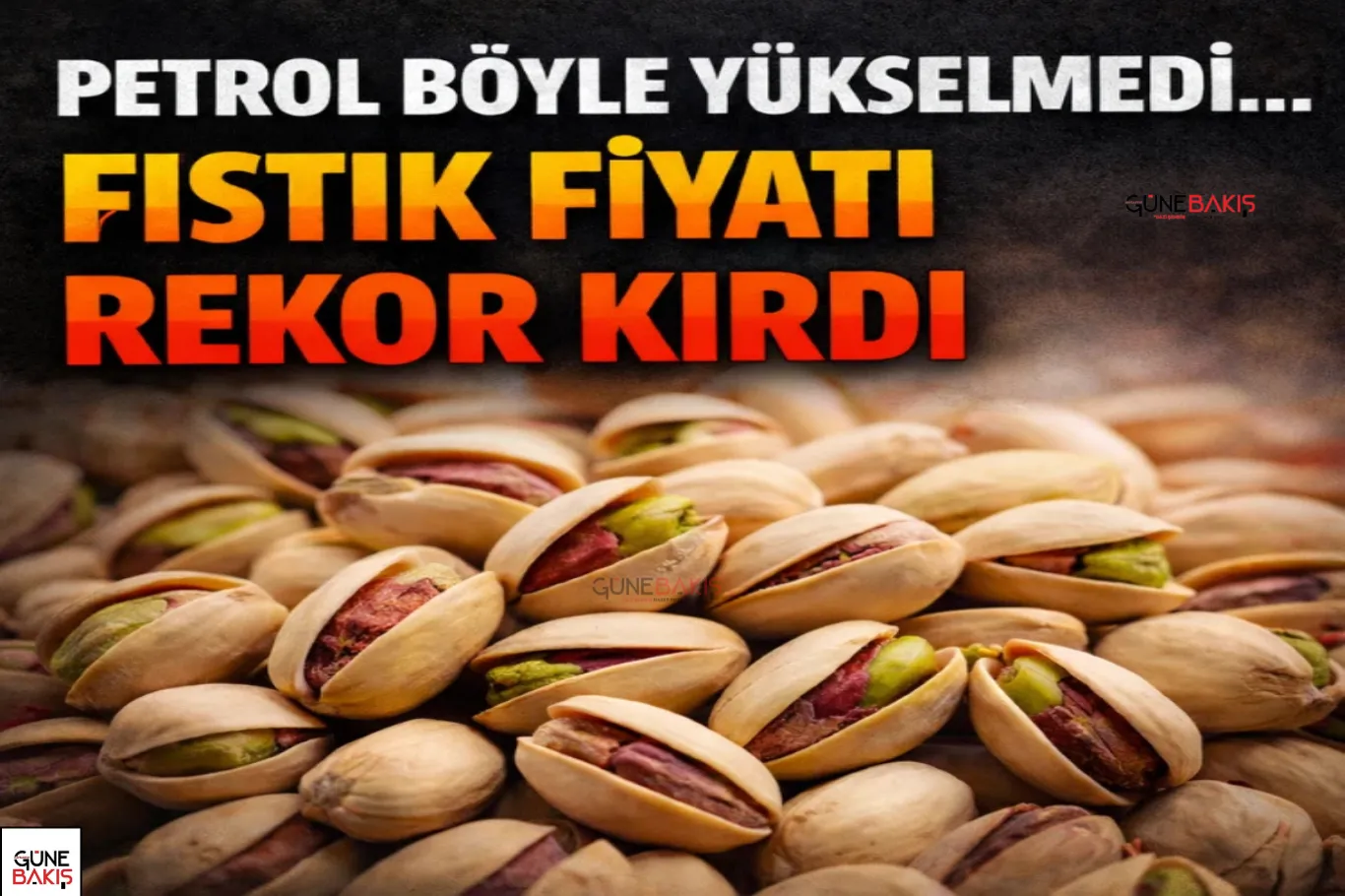 Büyükşehir Meclisi'nde Bakan Tekin'e paye, çiftçiye destek!