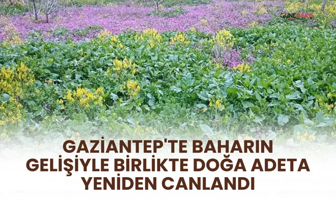 Gaziantep'te baharın gelişiyle birlikte doğa adeta yeniden canlandı