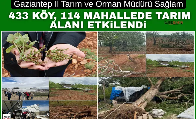 Gaziantep İl Tarım ve Orman Müdürü Sağlam: 433 köy, 114 mahallede tarım alanı etkilendi