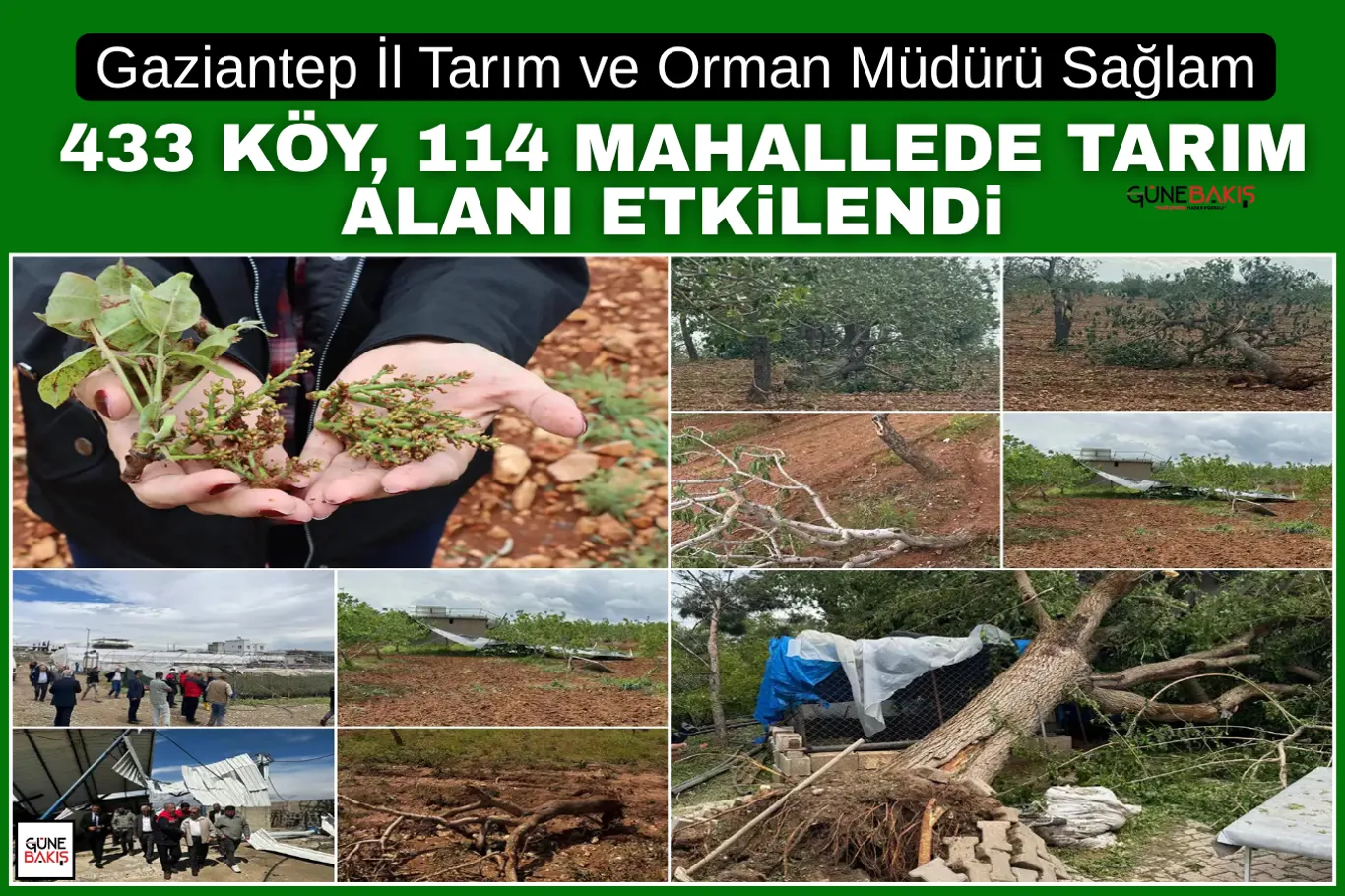 Gaziantep'te afet sonrası temizlik çalışmaları sürüyor
